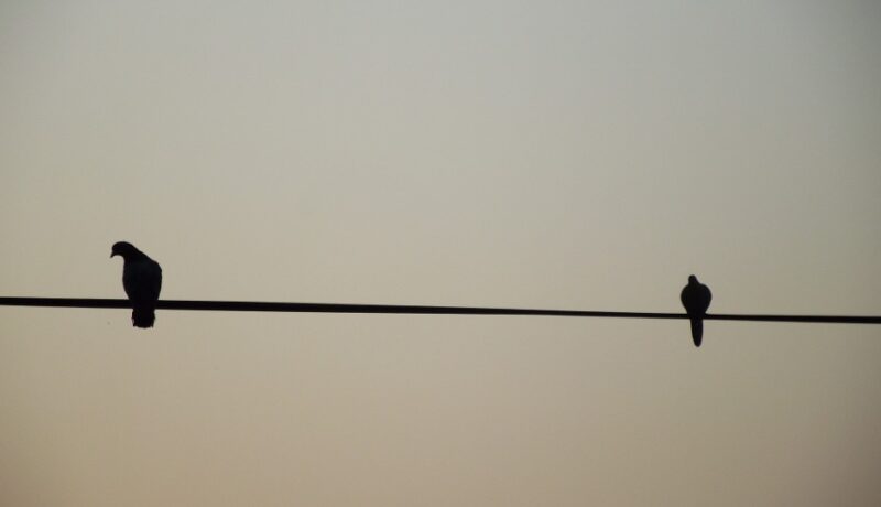 347436584_1238436656802676_5405600119307807360_n