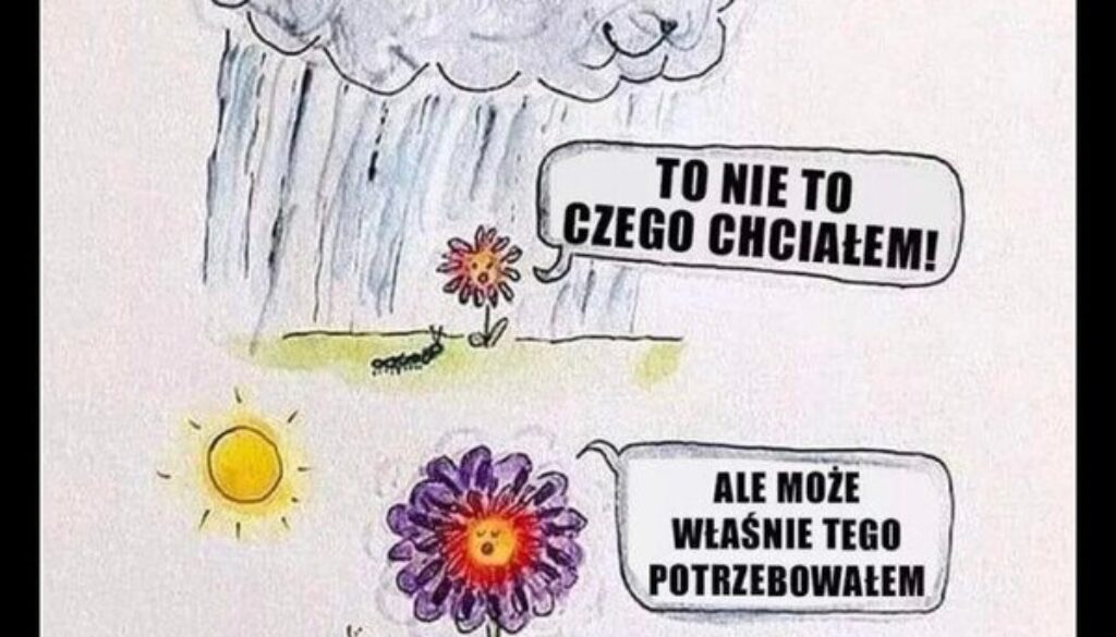 286816644_131345806197975_6589065738809122254_n