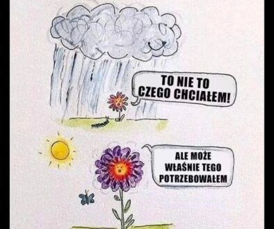 286816644_131345806197975_6589065738809122254_n