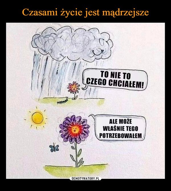 286816644_131345806197975_6589065738809122254_n